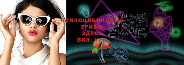 ГАЛЛЮЦИНОГЕННЫЕ ГРИБЫ Абаза