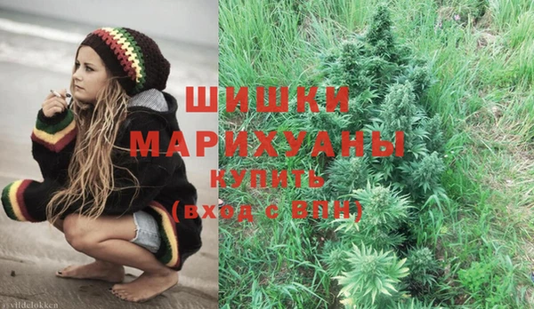 ГАЛЛЮЦИНОГЕННЫЕ ГРИБЫ Абаза