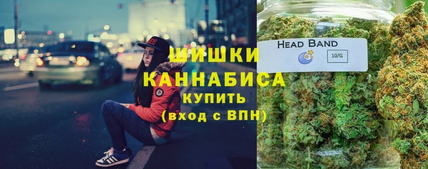 ALPHA-PVP Осинники