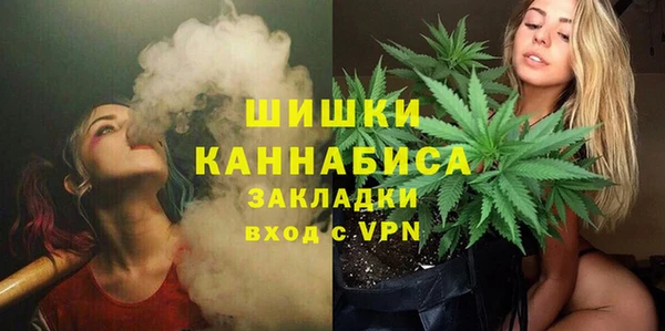 ГАЛЛЮЦИНОГЕННЫЕ ГРИБЫ Абаза